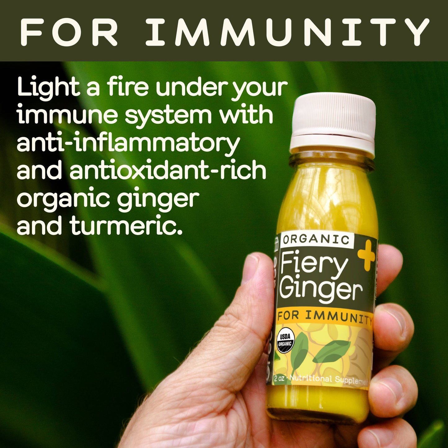 Greenhouse Fiery Ginger Wellness Shot for Immunity