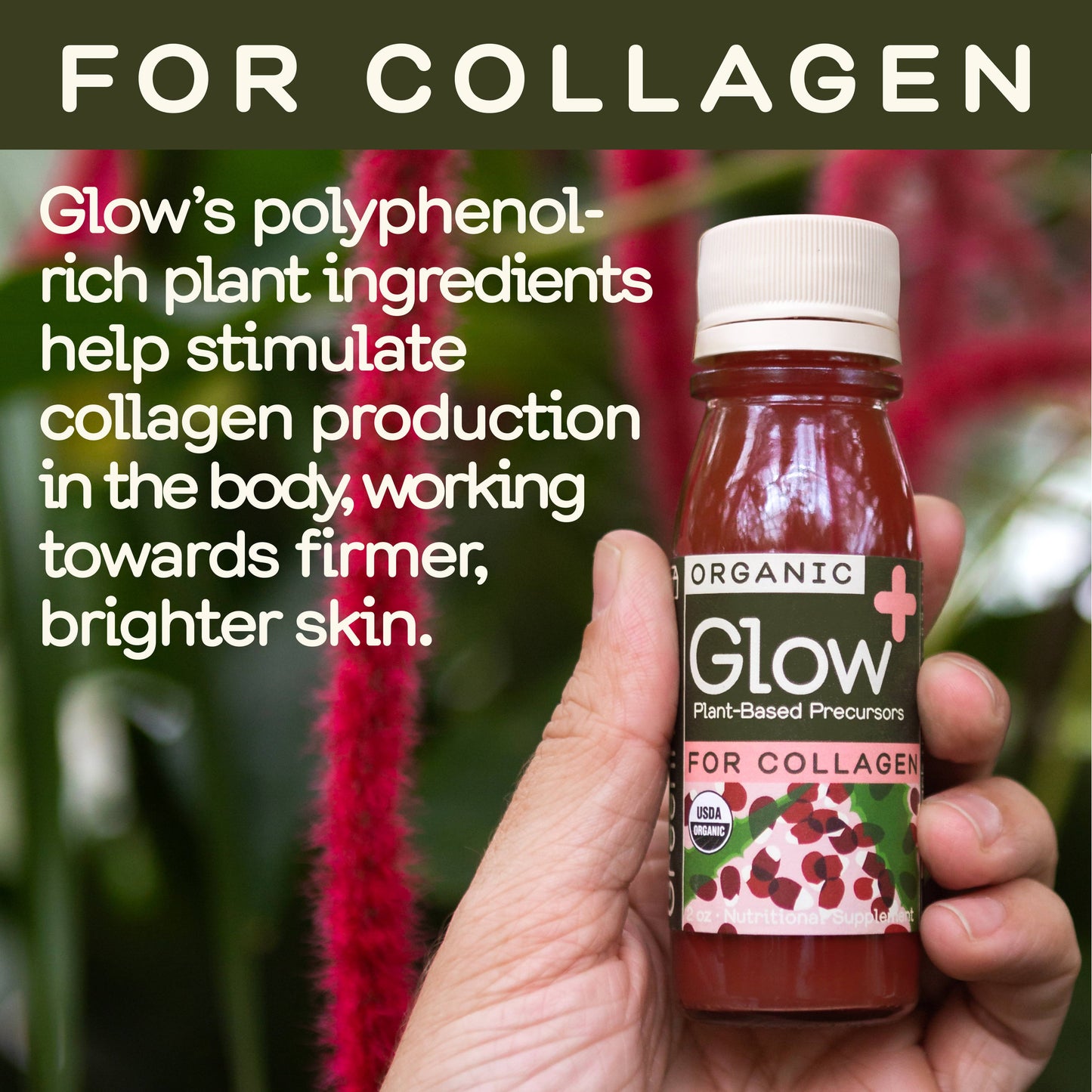 Greenhouse Glow Wellness Shot for Collagen