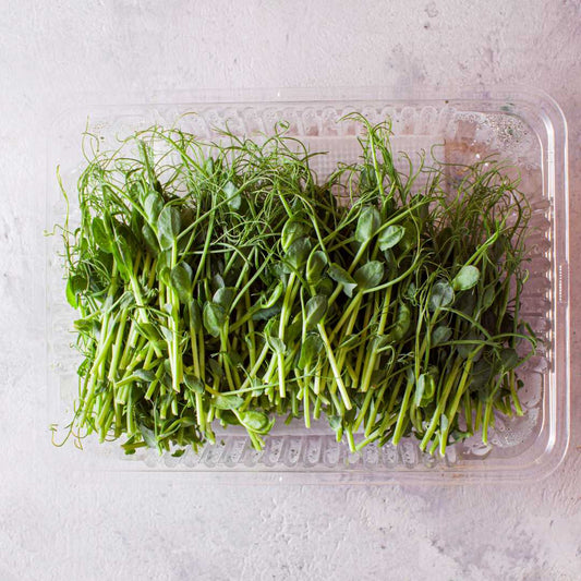 Fresh assortment of the Green Taster Pack, featuring a variety of lush microgreens in their peak freshness.