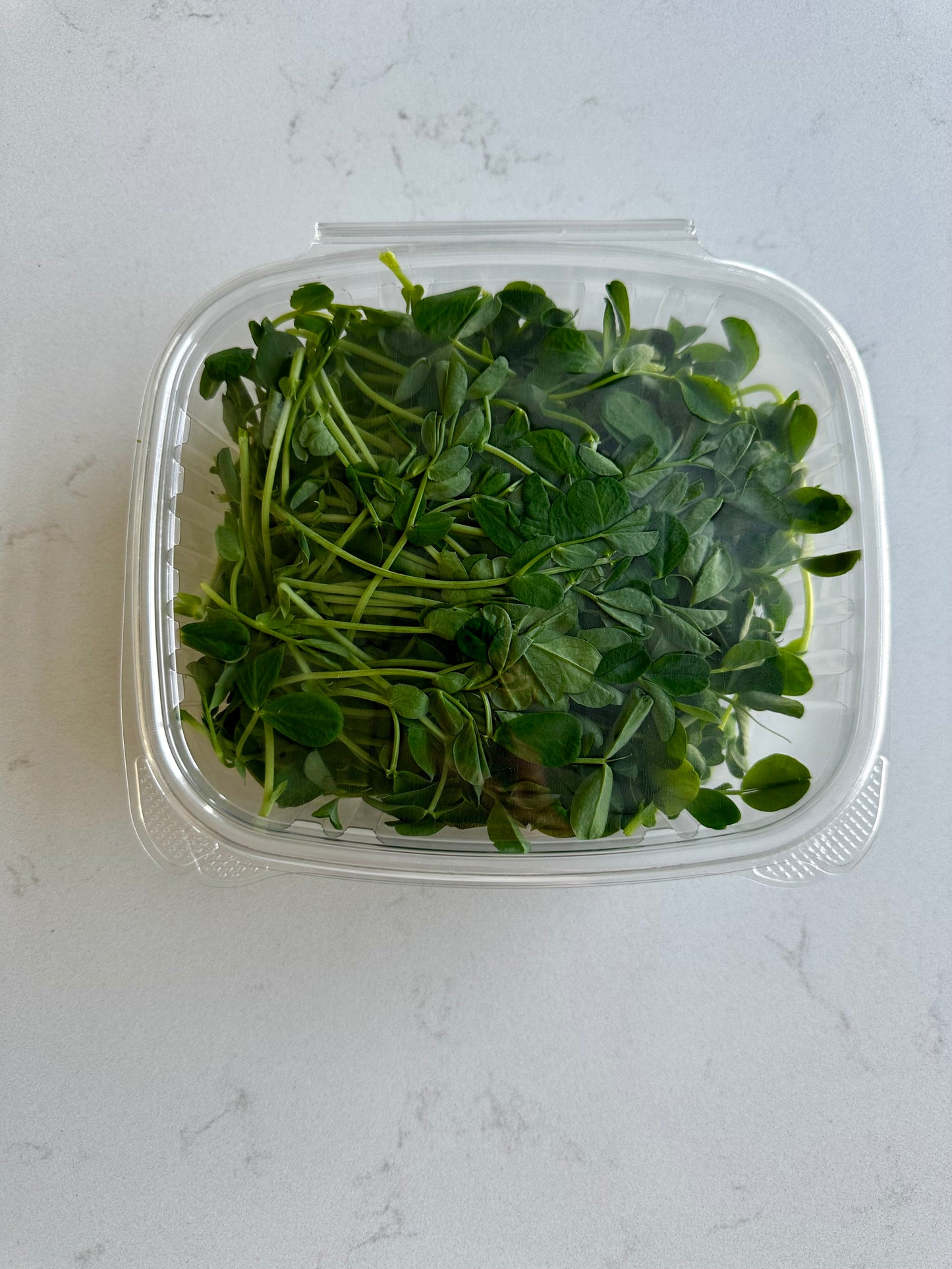 Organic Pea Shoots