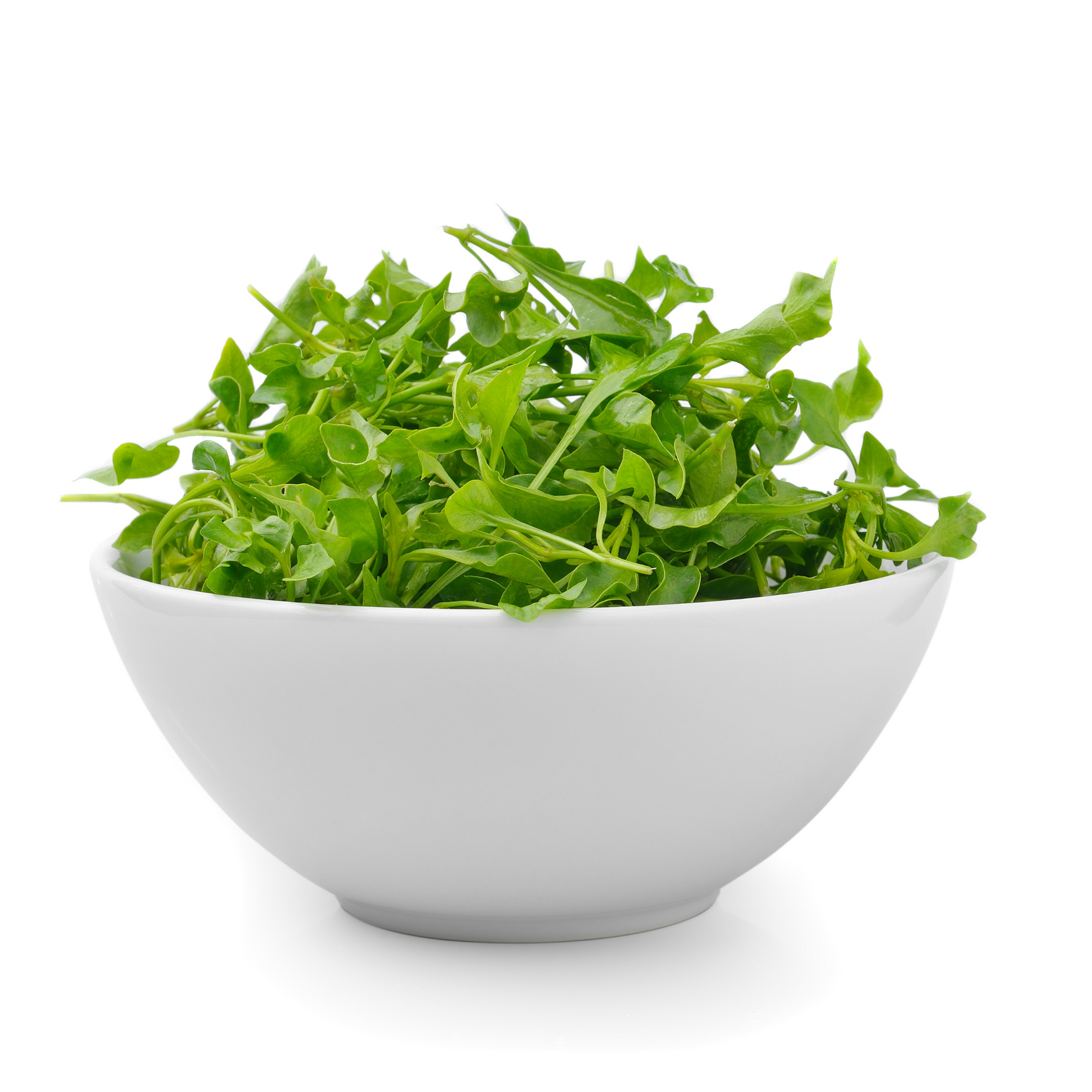 Fresh Watercress Microgreens